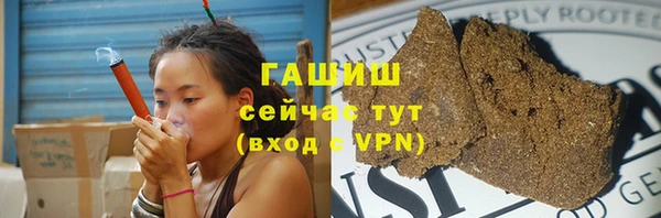 индика Богородск