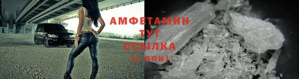 индика Богородск