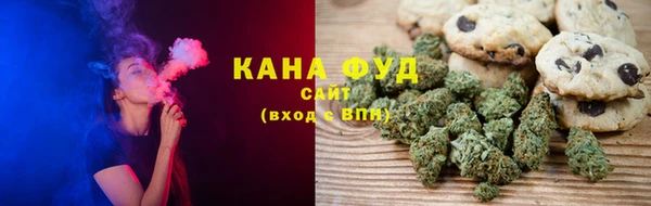 ГАЛЛЮЦИНОГЕННЫЕ ГРИБЫ Тайга