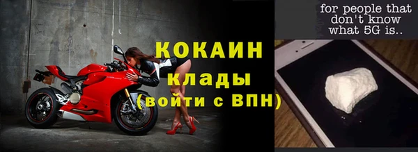 сатива Беломорск