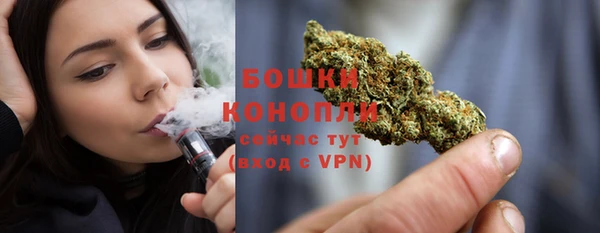 сатива Беломорск