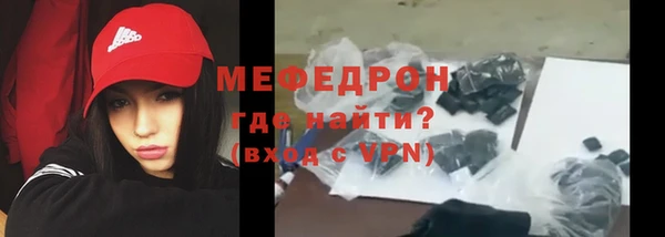 индика Богородск
