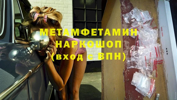 ГАЛЛЮЦИНОГЕННЫЕ ГРИБЫ Тайга