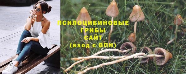 а пвп мука Белокуриха