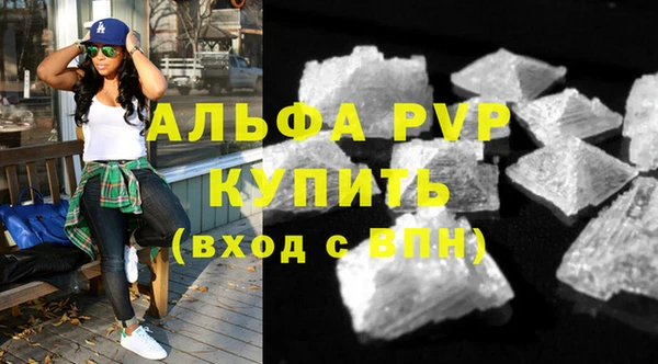 ГАЛЛЮЦИНОГЕННЫЕ ГРИБЫ Тайга