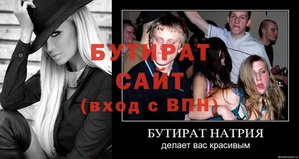 сатива Беломорск