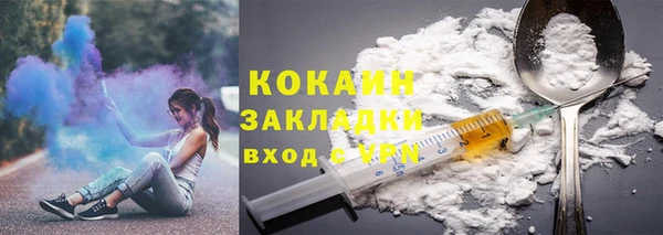 индика Богородск