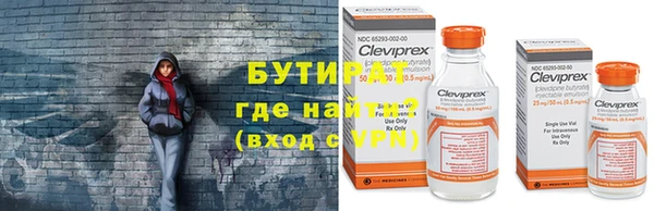 ГАЛЛЮЦИНОГЕННЫЕ ГРИБЫ Тайга