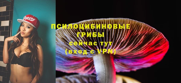 а пвп мука Белокуриха