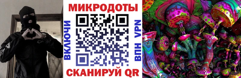 купить закладку Ардатов Псилоцибиновые грибы Cubensis